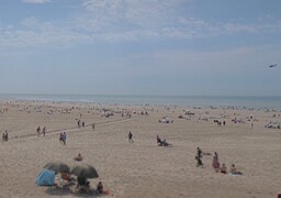 Importantes recherches en mer à Berck-sur-Mer pour retrouver un homme pris par la marée.