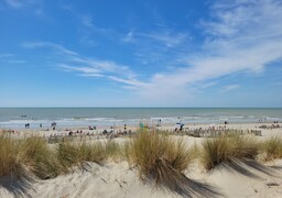 Cap sur l'été à Camiers-Sainte-Cécile !