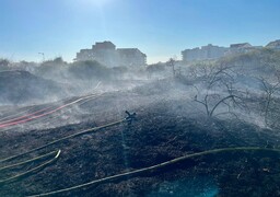 Neufchâtel-Hardelot : un spectaculaire incendie ravage les dunes, 55 pompiers mobilisés