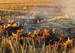 Ruminghem : un câble haute tension tombe au sol, 15 000 foyers privés d'électricité