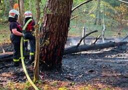 Un départ de feu en forêt du Touquet rapidement maîtrisé, une enquête est ouverte