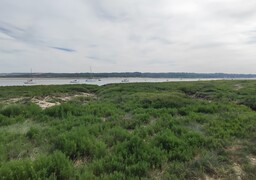 Les Escapades Radio 6 vous emmènent goûter l'estuaire de la Canche au Touquet