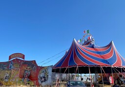 Le cirque Benzini s'installe sans rien demander à Calais !