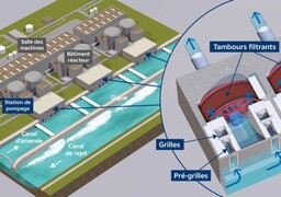 Gravelines : les méduses provoquent à nouveau l’arrêt de 3 réacteurs de la centrale nucléaire !