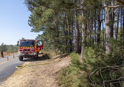 Feux de forêt à Hardelot et Dannes : les incendies sont fixés, 190 hectares parcourus par les flammes