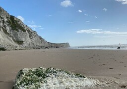 Cap Blanc-Nez : quatre personnes et un chien piégés au pied des falaises par la marée