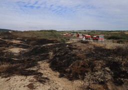 Mont Saint-Frieux : le procureur adjoint de la république admet des liens entre les deux départs de feu, des migrants et des gendarmes !