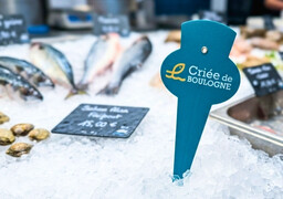 Boulogne-sur-mer : un nouveau label pour donner plus de valeur aux poissons de la criée