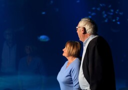 Boulogne-sur-mer : Nausicaá propose un programme spécial pour les plus de 60 ans à l'occasion de la semaine bleue en octobre !