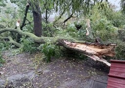 Tempête dans la Somme : un retour progressif à la normale ce samedi soir