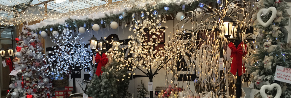 Dans un mois c'est Noël, zoom sur l'espace féérique de la jardinerie d'Hesdigneul 