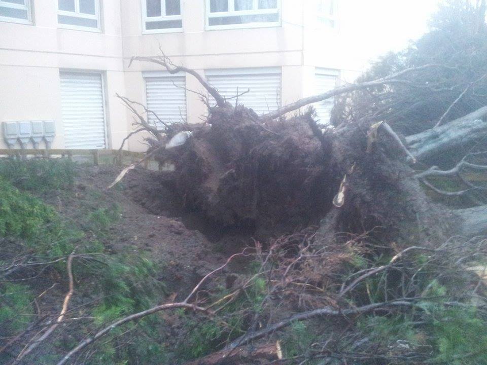 Info tempête avec le flash de 11h du samedi 27 décembre 