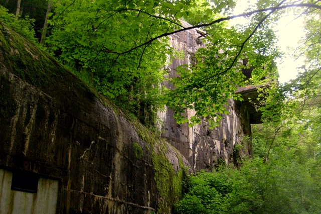 Le bois d'Haringzelle cache un trésor 