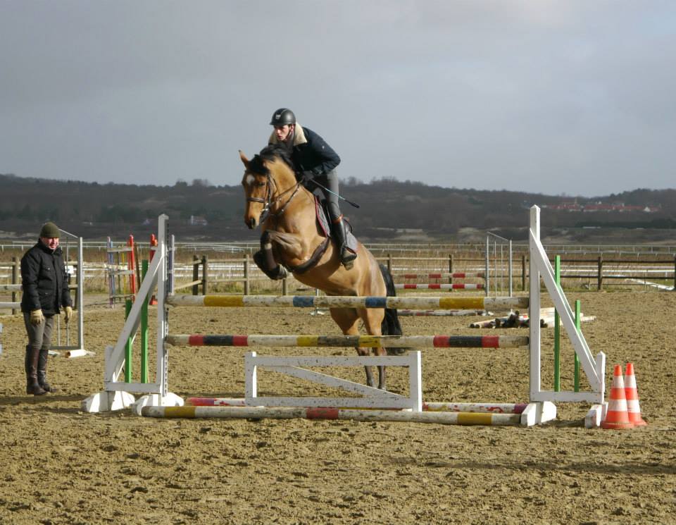 Le champion du monde CSO 2010 ( saut d'obstacle était au Touquet ce week end pour des cours très privés ! 
