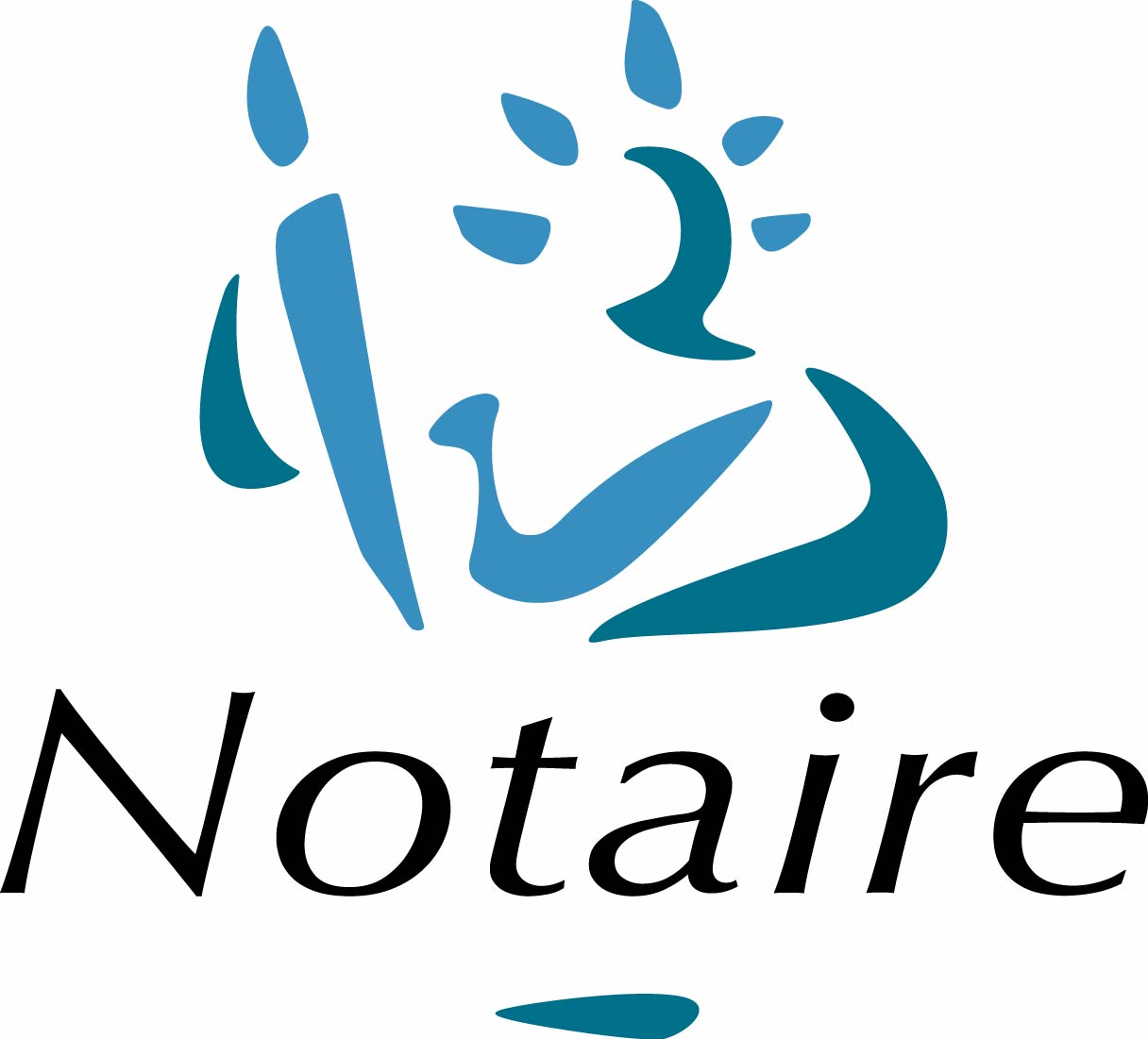 Pour les notaires de la côte d'opale la loi Macron est "une loi socialiste pas sociale"